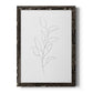Botanical Gesture VI - Barnwood Framed Canvas Print