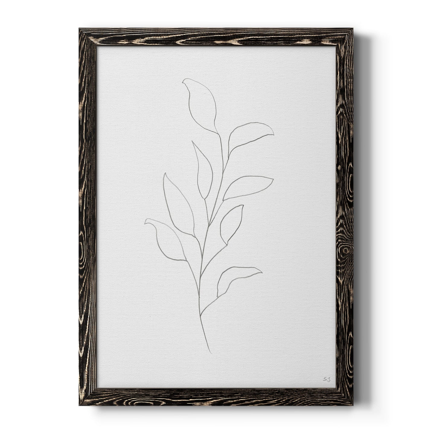 Botanical Gesture VI - Barnwood Framed Canvas Print