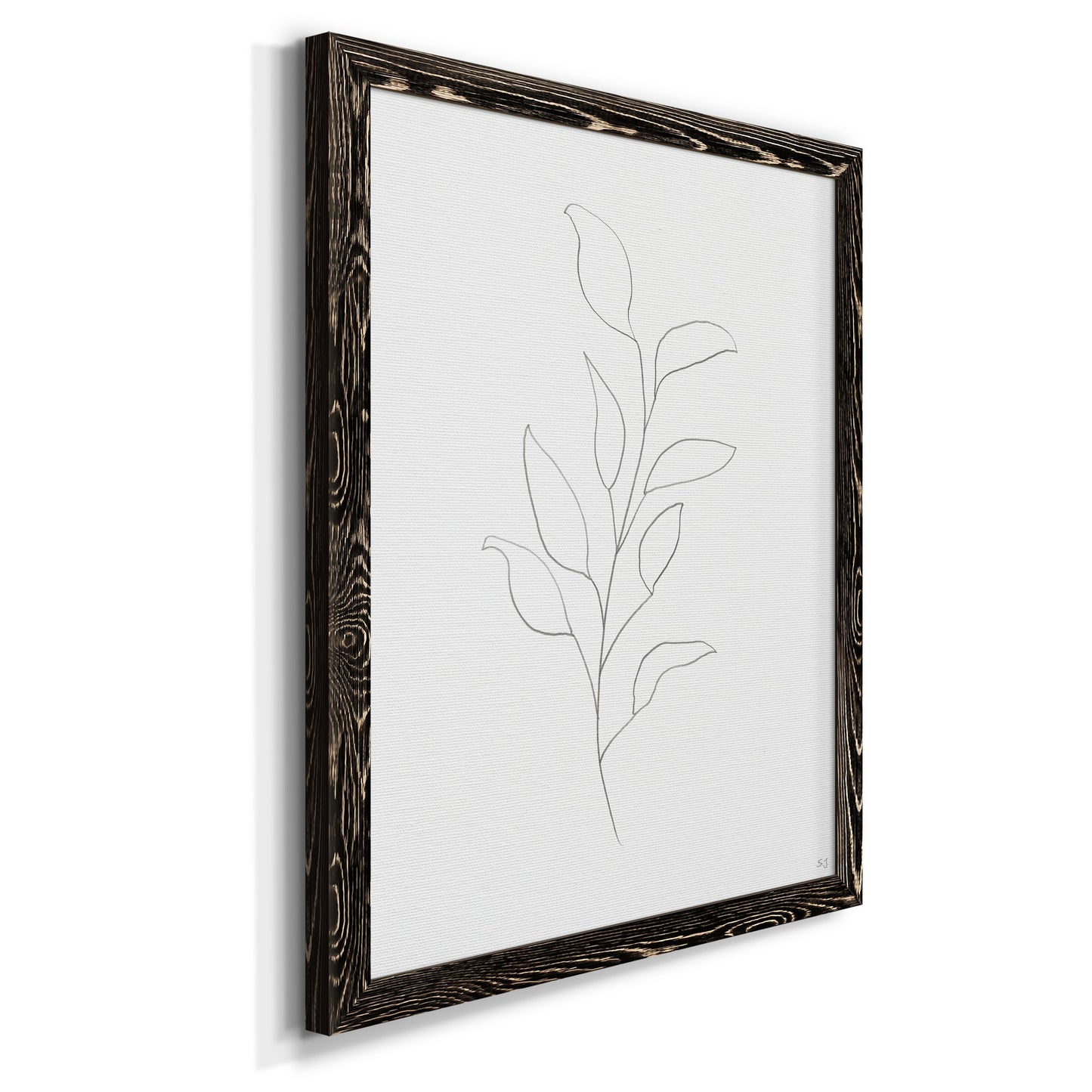 Botanical Gesture VI - Barnwood Framed Canvas Print
