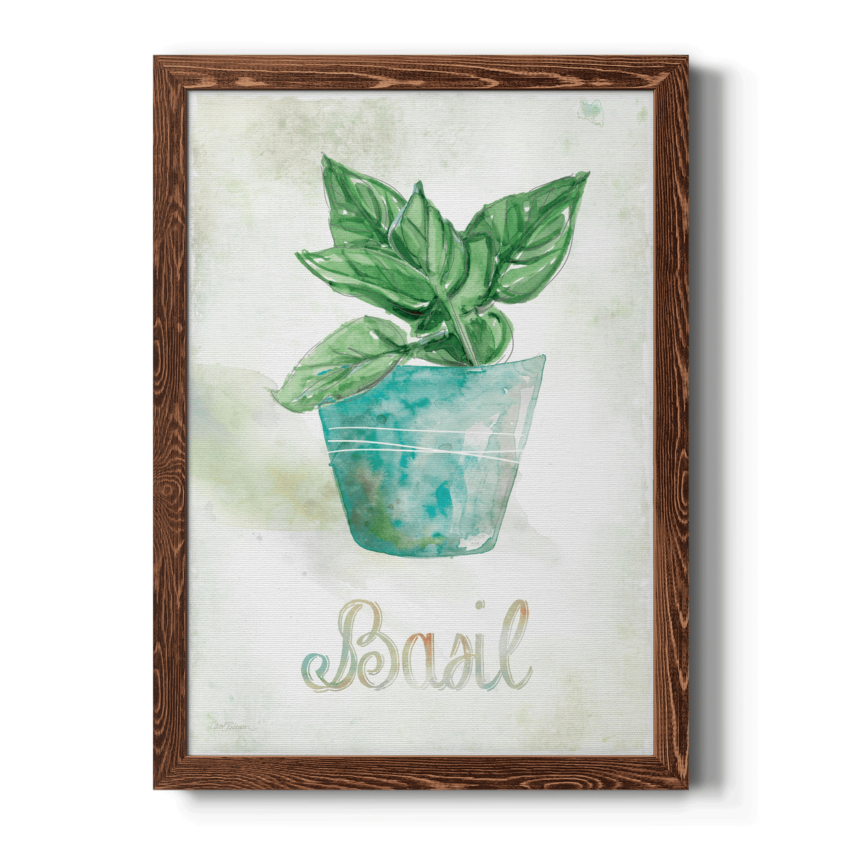 Potted Basil - Barnwood Framed Canvas Print