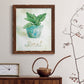 Potted Basil - Barnwood Framed Canvas Print