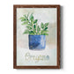 Potted Oregano - Barnwood Framed Canvas Print