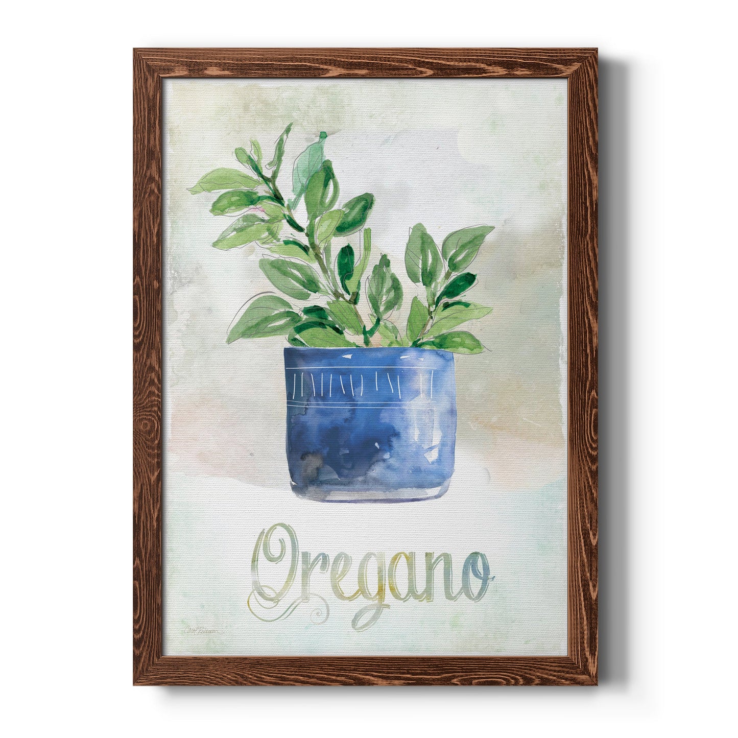 Potted Oregano - Barnwood Framed Canvas Print