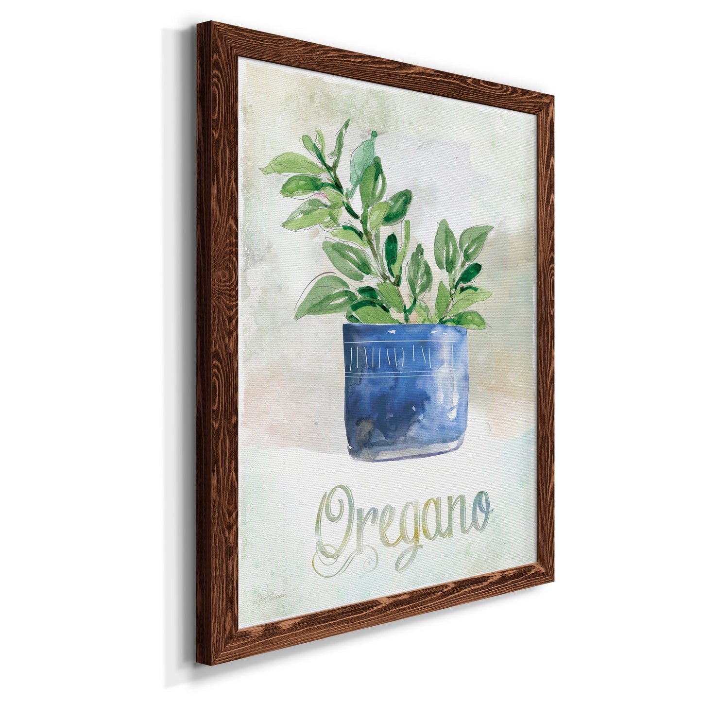 Potted Oregano - Barnwood Framed Canvas Print