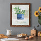 Potted Oregano - Barnwood Framed Canvas Print