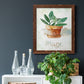 Potted Sage - Barnwood Framed Canvas Print