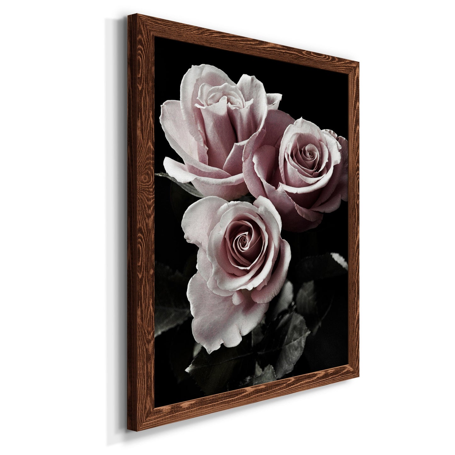 Rose Noir I - Barnwood Framed Canvas Print