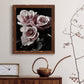 Rose Noir I - Barnwood Framed Canvas Print