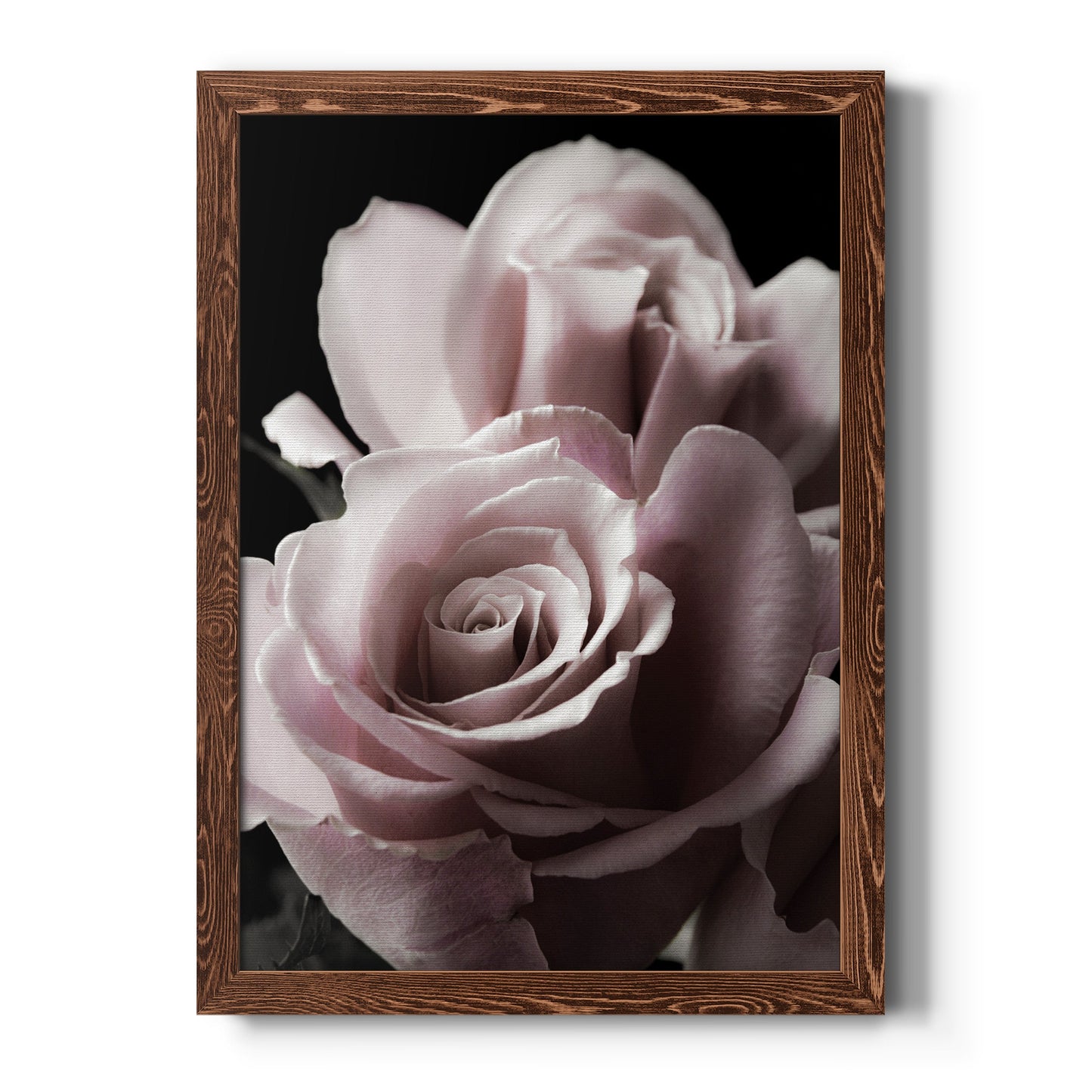 Rose Noir II - Barnwood Framed Canvas Print
