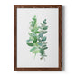 Eucalyptus II - Barnwood Framed Canvas Print