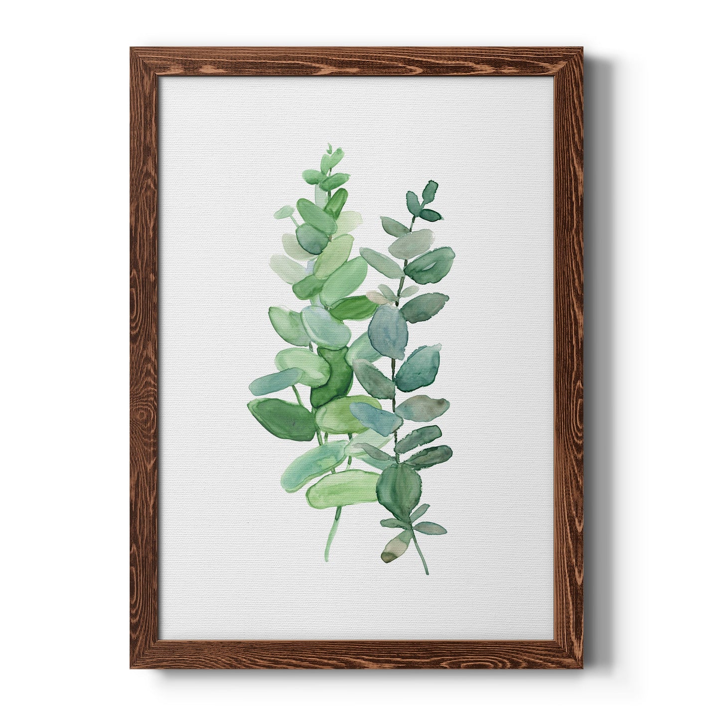 Eucalyptus II - Barnwood Framed Canvas Print