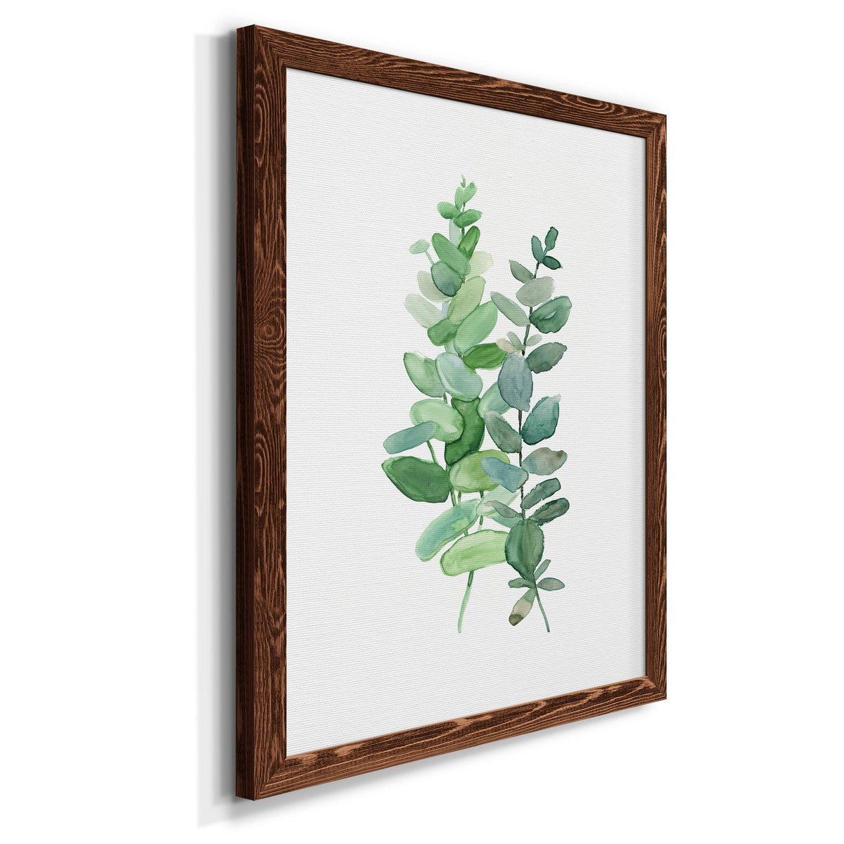 Eucalyptus II - Barnwood Framed Canvas Print