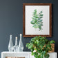 Eucalyptus II - Barnwood Framed Canvas Print