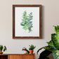 Eucalyptus II - Barnwood Framed Canvas Print