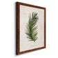 Palm Botanical II - Barnwood Framed Canvas Print