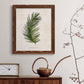 Palm Botanical II - Barnwood Framed Canvas Print