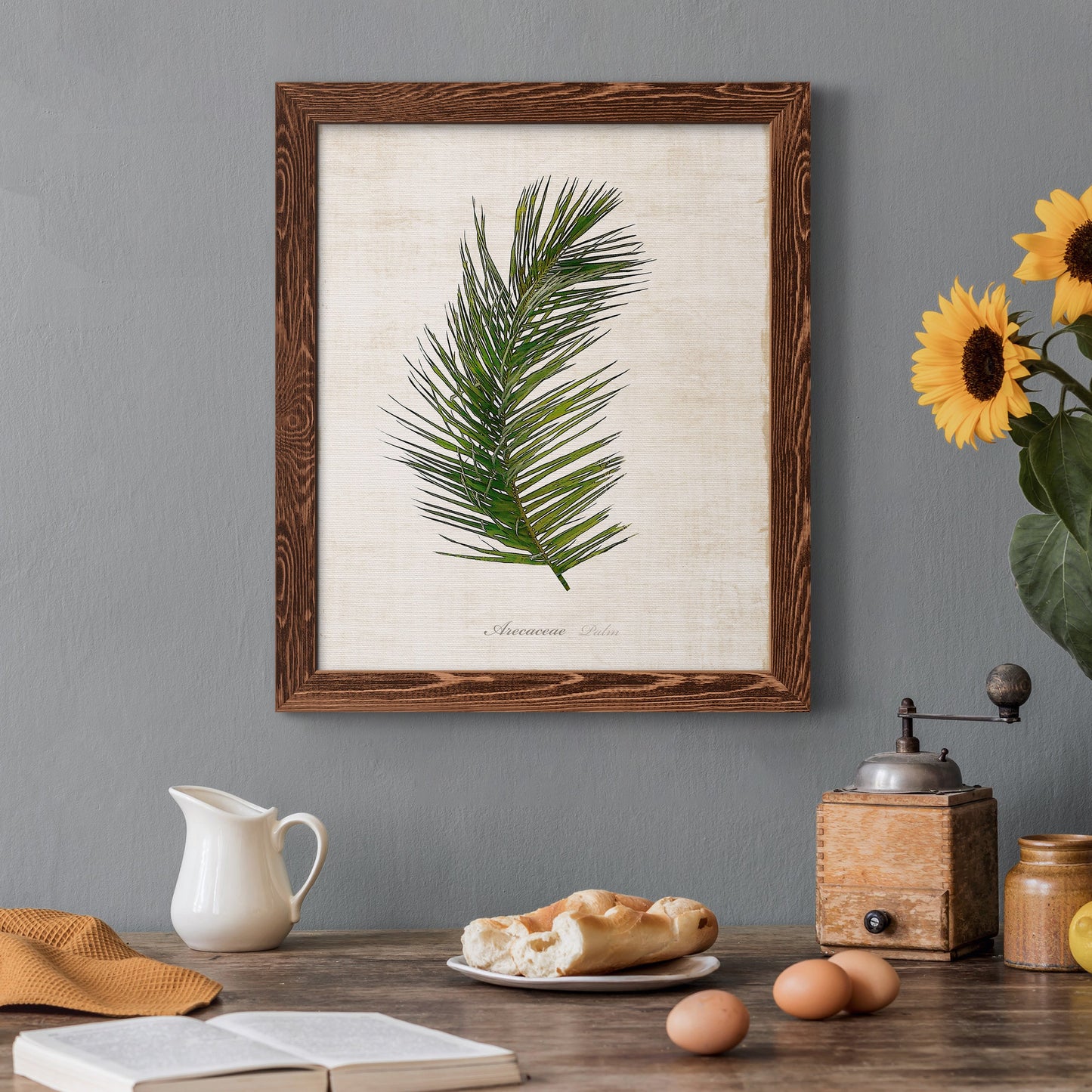 Palm Botanical II - Barnwood Framed Canvas Print