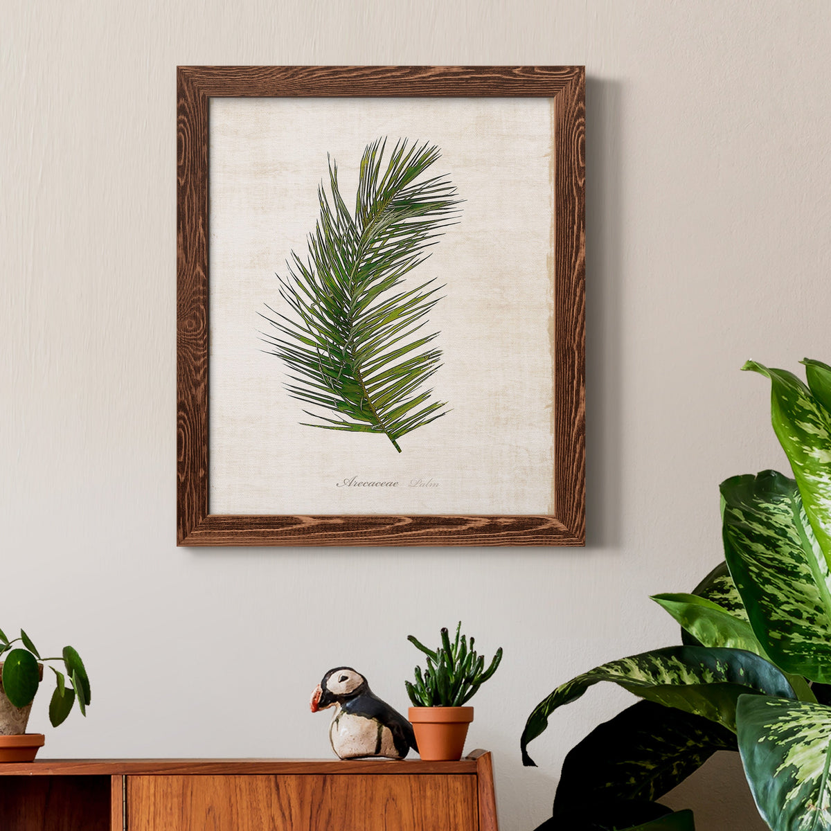 Palm Botanical II - Barnwood Framed Canvas Print