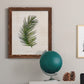Palm Botanical II - Barnwood Framed Canvas Print