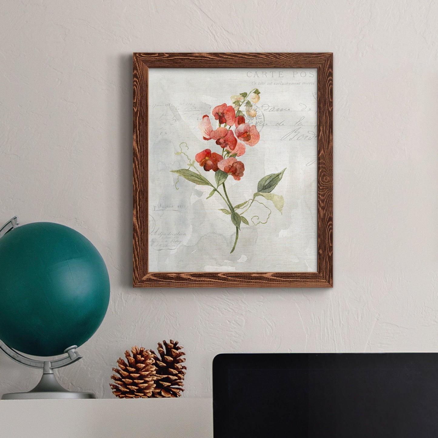 Linen Sweet Pea - Barnwood Framed Canvas Print