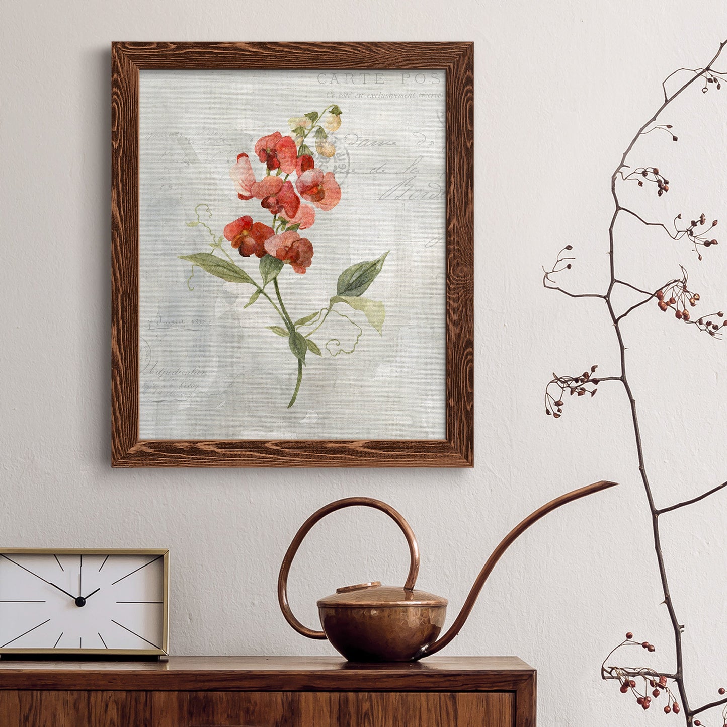 Linen Sweet Pea - Barnwood Framed Canvas Print