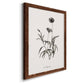 Sketchbook Imperial - Barnwood Framed Canvas Print