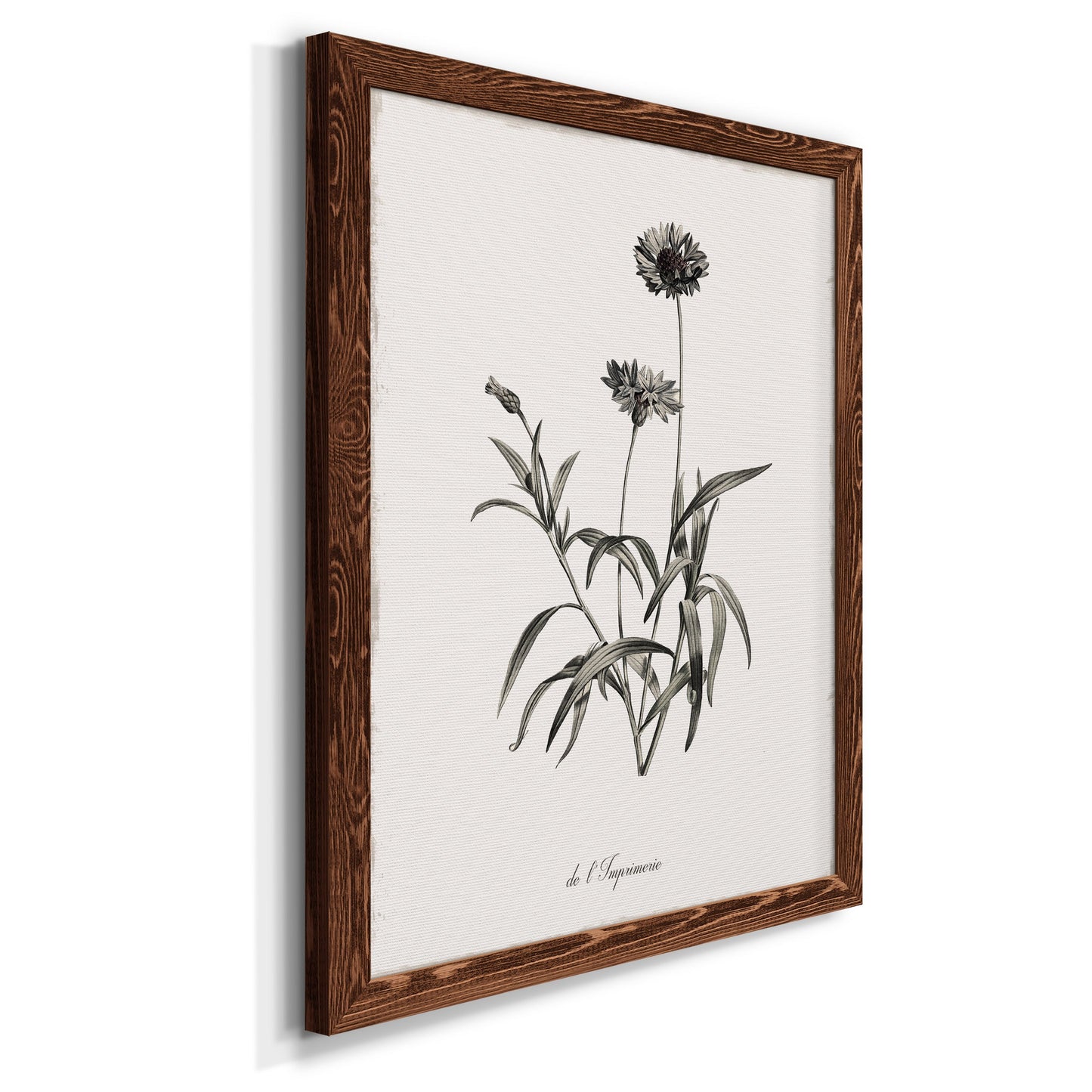 Sketchbook Imperial - Barnwood Framed Canvas Print