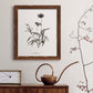 Sketchbook Imperial - Barnwood Framed Canvas Print