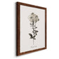 Sketchbook Leadwort - Barnwood Framed Canvas Print