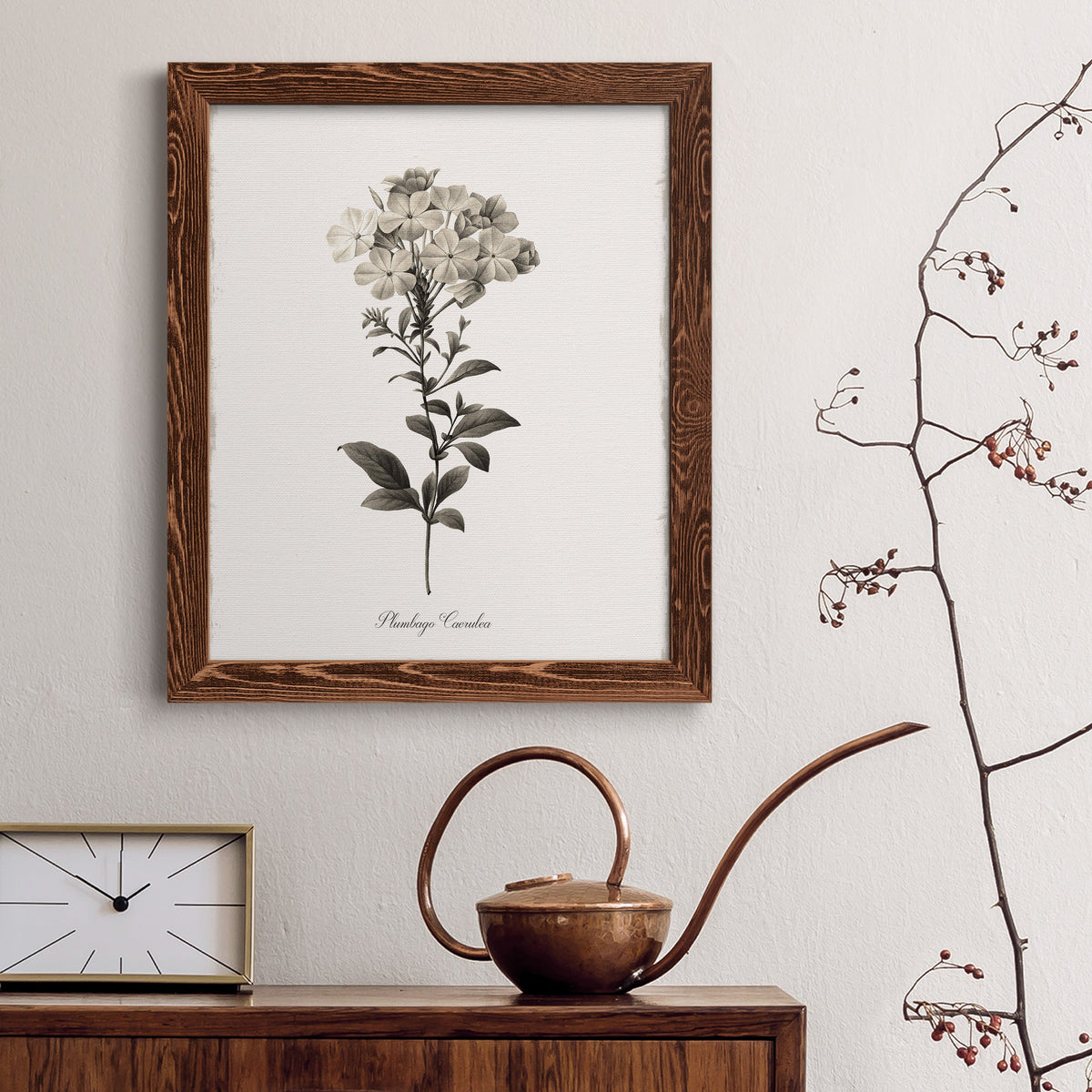 Sketchbook Leadwort - Barnwood Framed Canvas Print