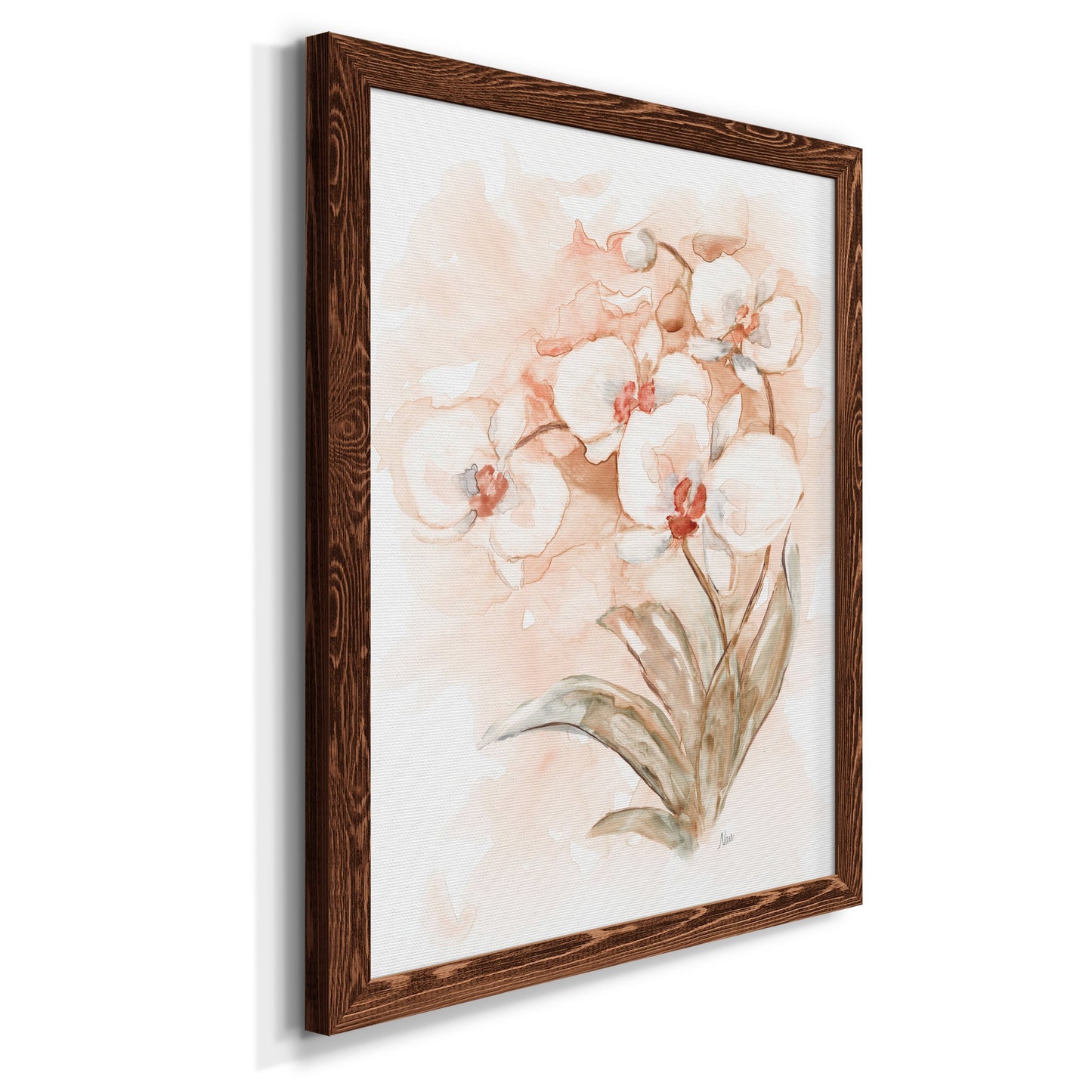 White and Coral Orchid II - Barnwood Framed Canvas Print