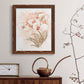 White and Coral Orchid II - Barnwood Framed Canvas Print