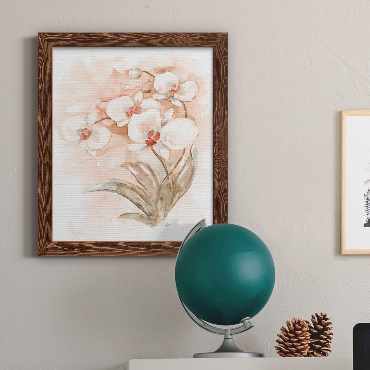 White and Coral Orchid II - Barnwood Framed Canvas Print