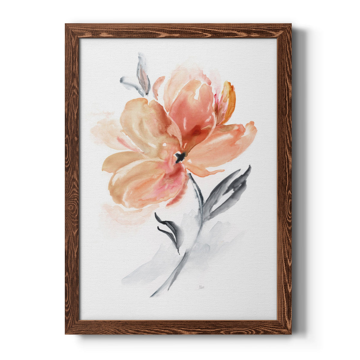 Soft Sensation II - Barnwood Framed Canvas Print