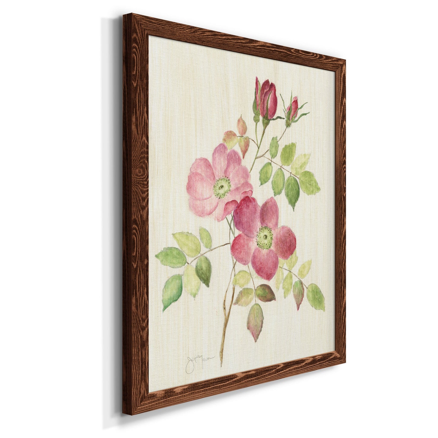 Dusty Rose I - Barnwood Framed Canvas Print