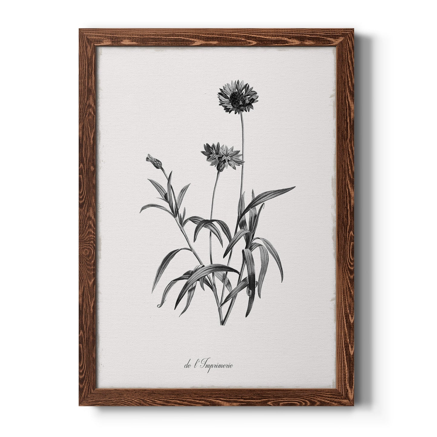 Simply Imperial - Barnwood Framed Canvas Print