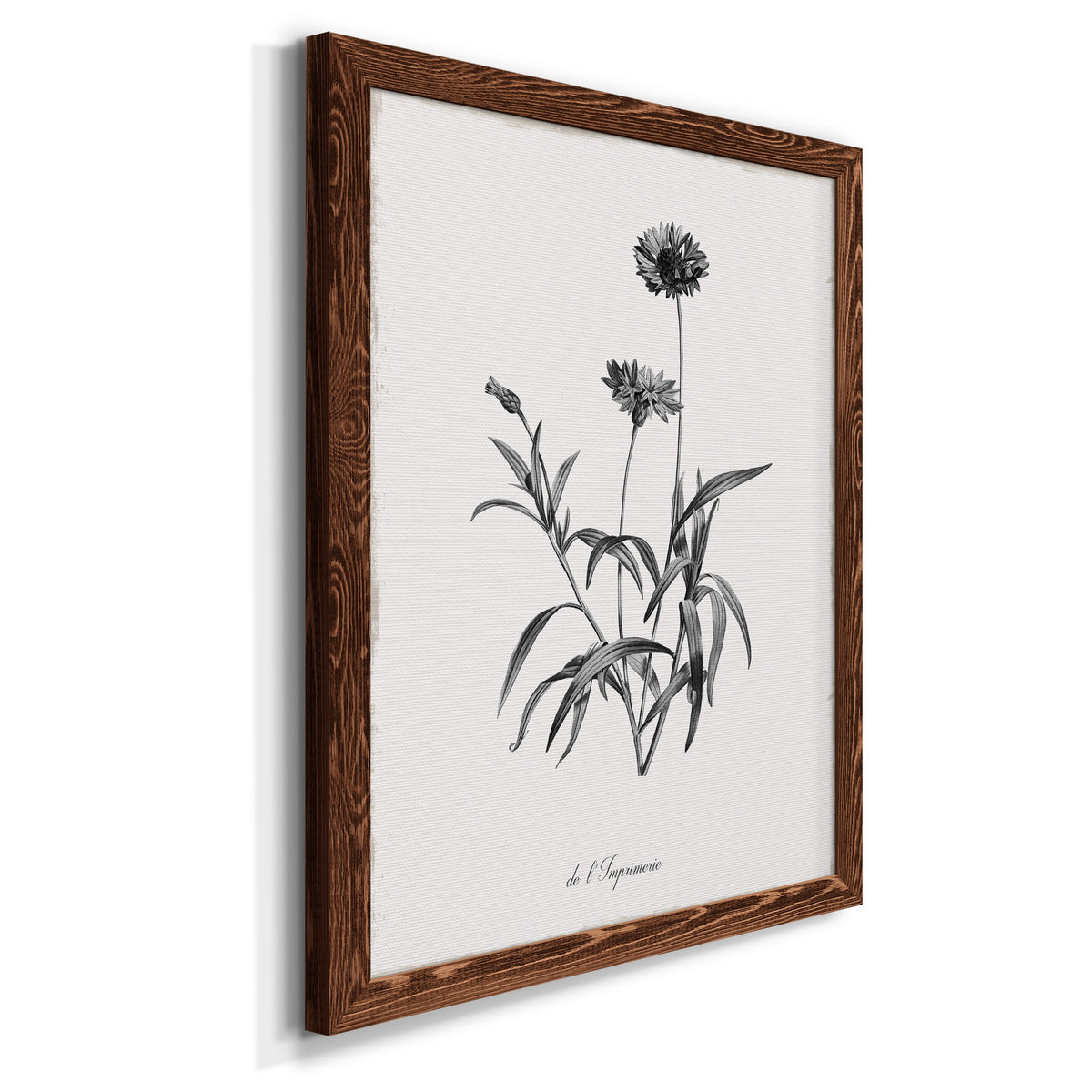 Simply Imperial - Barnwood Framed Canvas Print