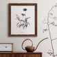 Simply Imperial - Barnwood Framed Canvas Print