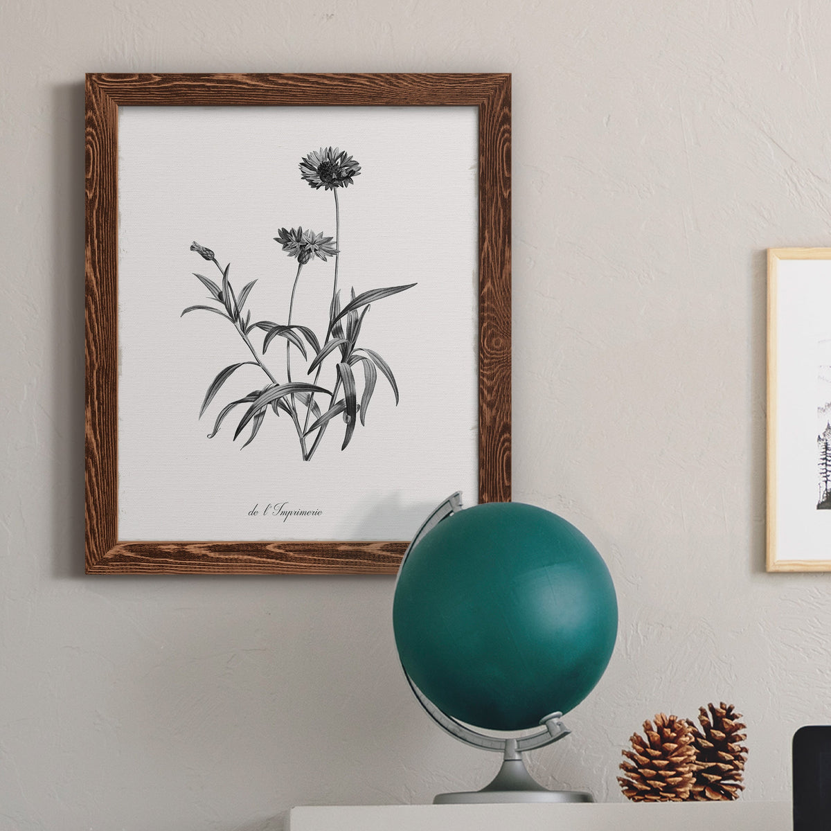 Simply Imperial - Barnwood Framed Canvas Print