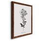 Simply Cape Leadwort - Barnwood Framed Canvas Print