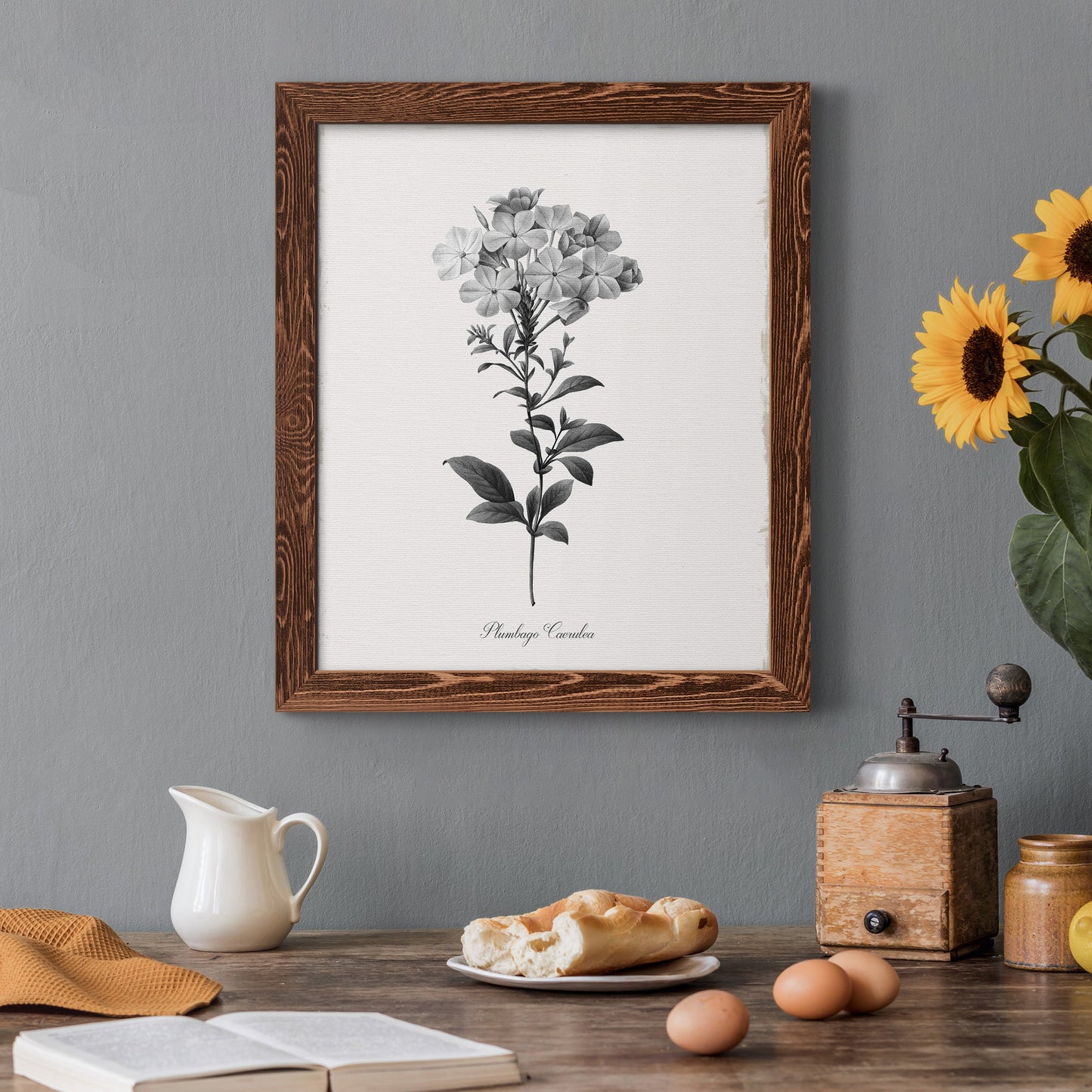 Simply Cape Leadwort - Barnwood Framed Canvas Print
