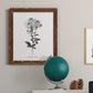 Simply Cape Leadwort - Barnwood Framed Canvas Print