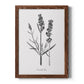 Simply Lavender - Barnwood Framed Canvas Print