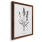 Simply Lavender - Barnwood Framed Canvas Print