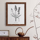 Simply Lavender - Barnwood Framed Canvas Print