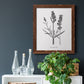 Simply Lavender - Barnwood Framed Canvas Print