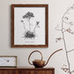 Simply Caladrinia - Barnwood Framed Canvas Print