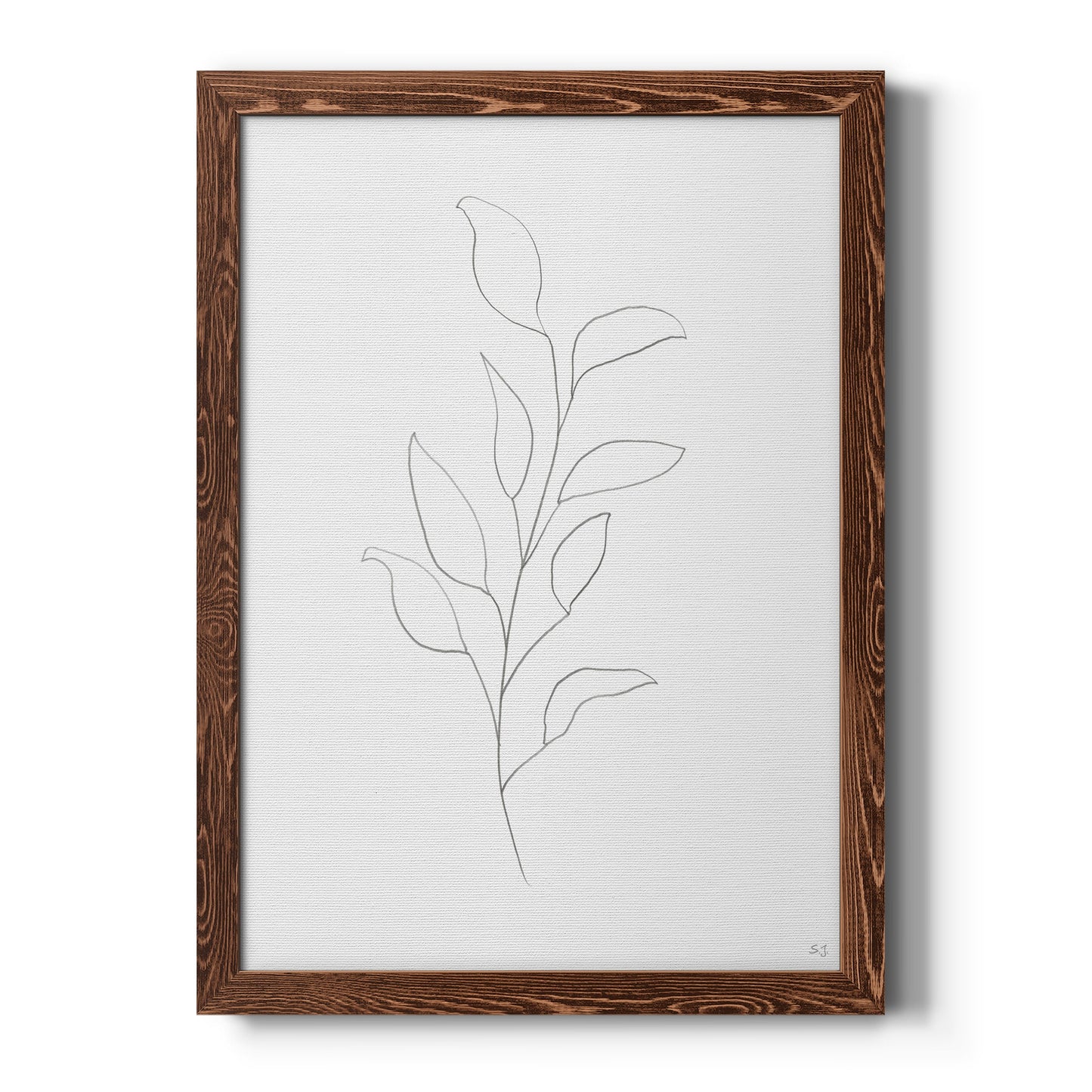 Botanical Gesture VI - Barnwood Framed Canvas Print