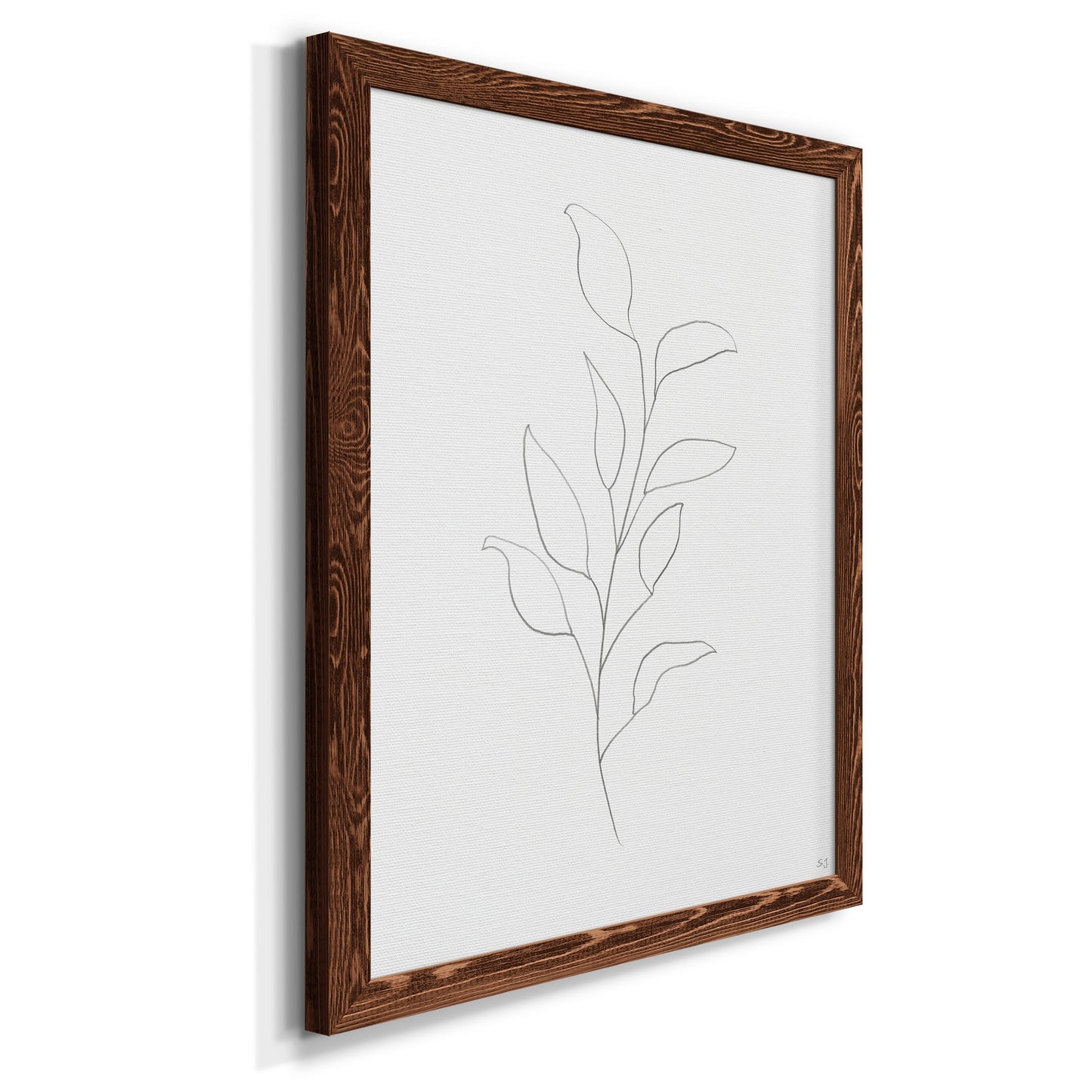 Botanical Gesture VI - Barnwood Framed Canvas Print