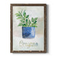 Potted Oregano - Barnwood Framed Canvas Print